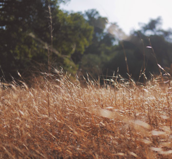 自行车赛场冠军揭晓：速度飙升跃出尘埃